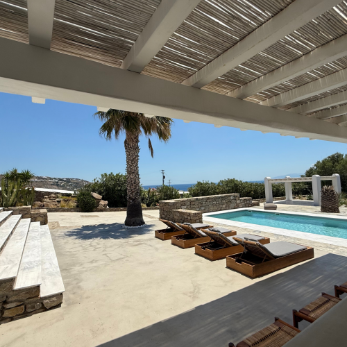 Pool mit Liegefläche, Treppe und Palmen
